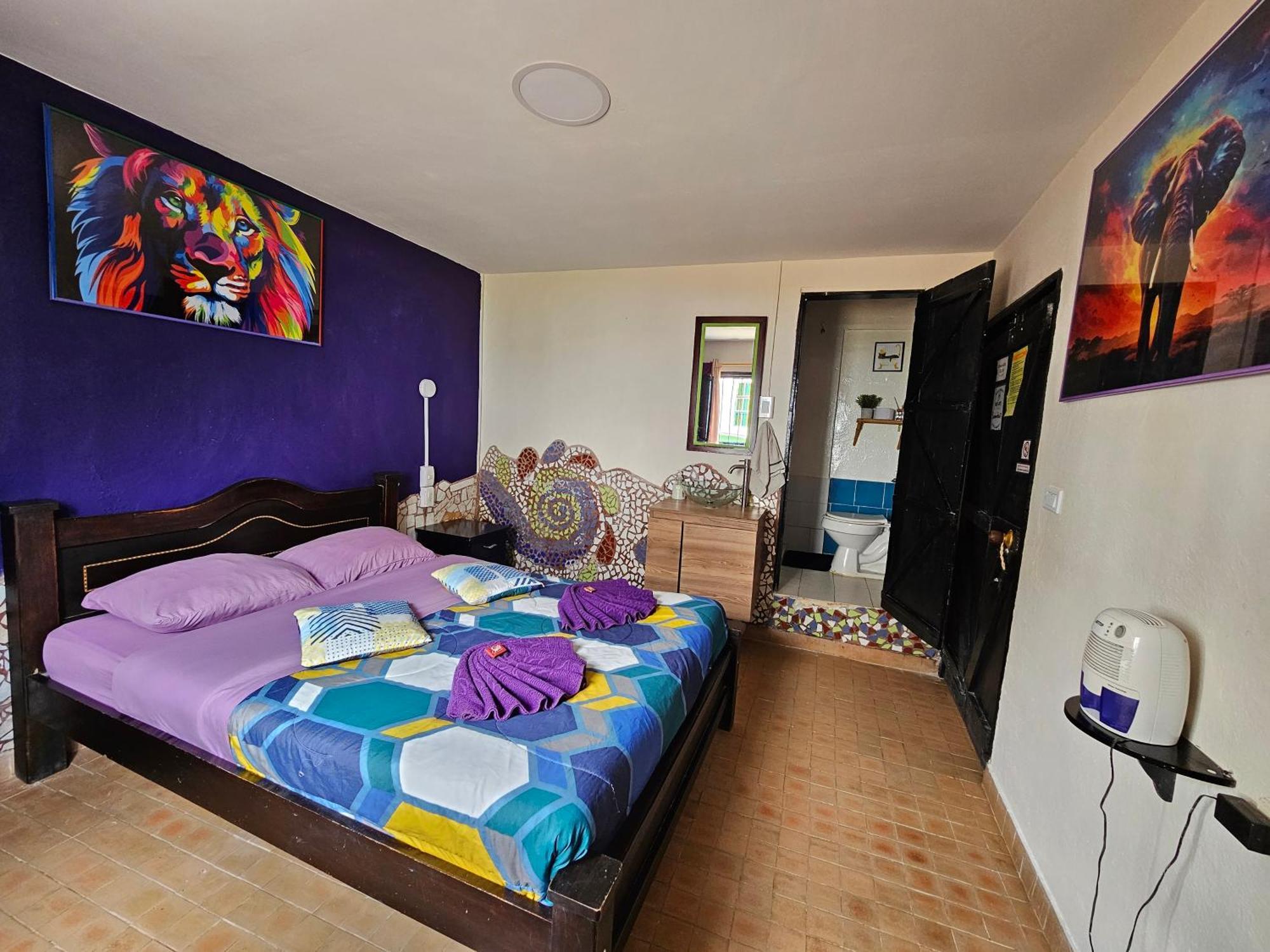 Hostal Bambu San Agustín 외부 사진