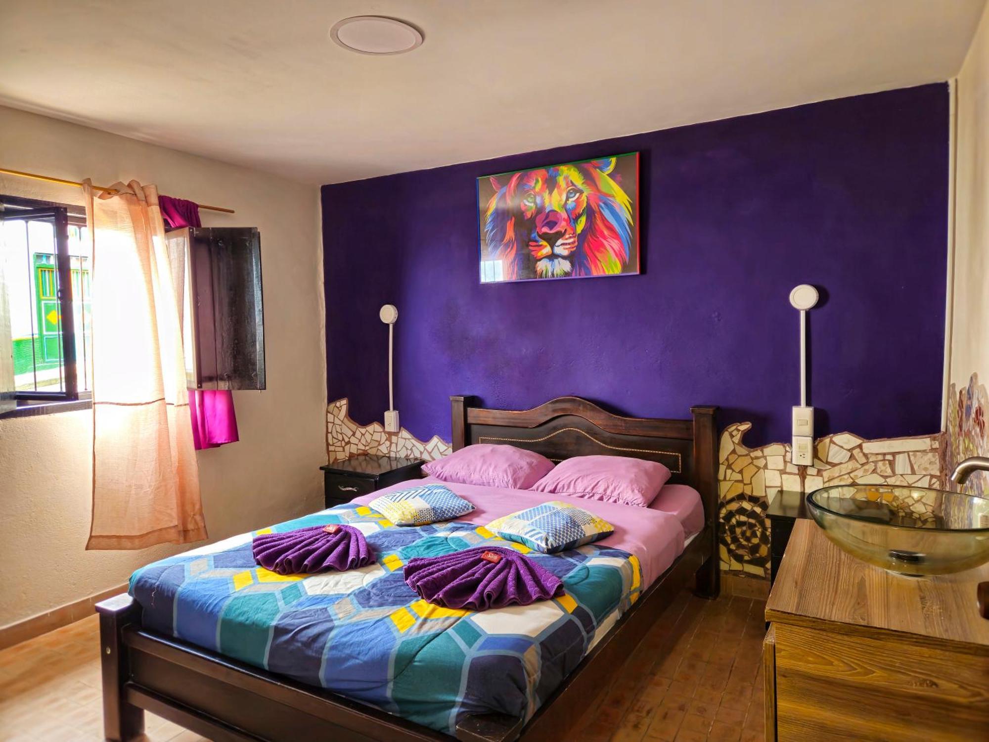 Hostal Bambu San Agustín 객실 사진