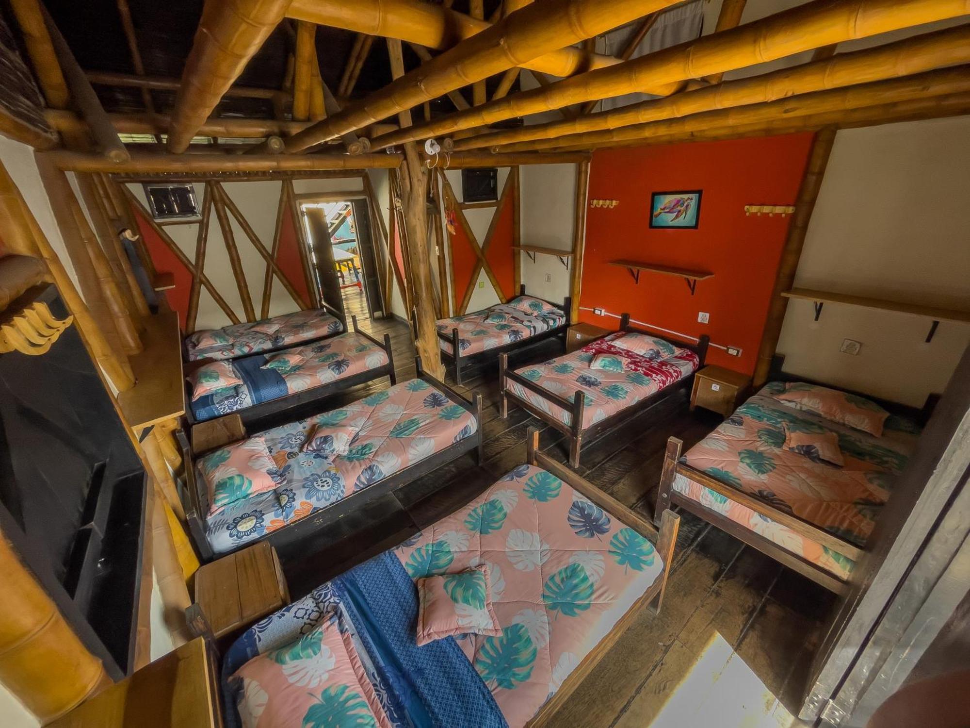Hostal Bambu San Agustín 객실 사진